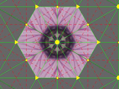 p1 fundamental domain